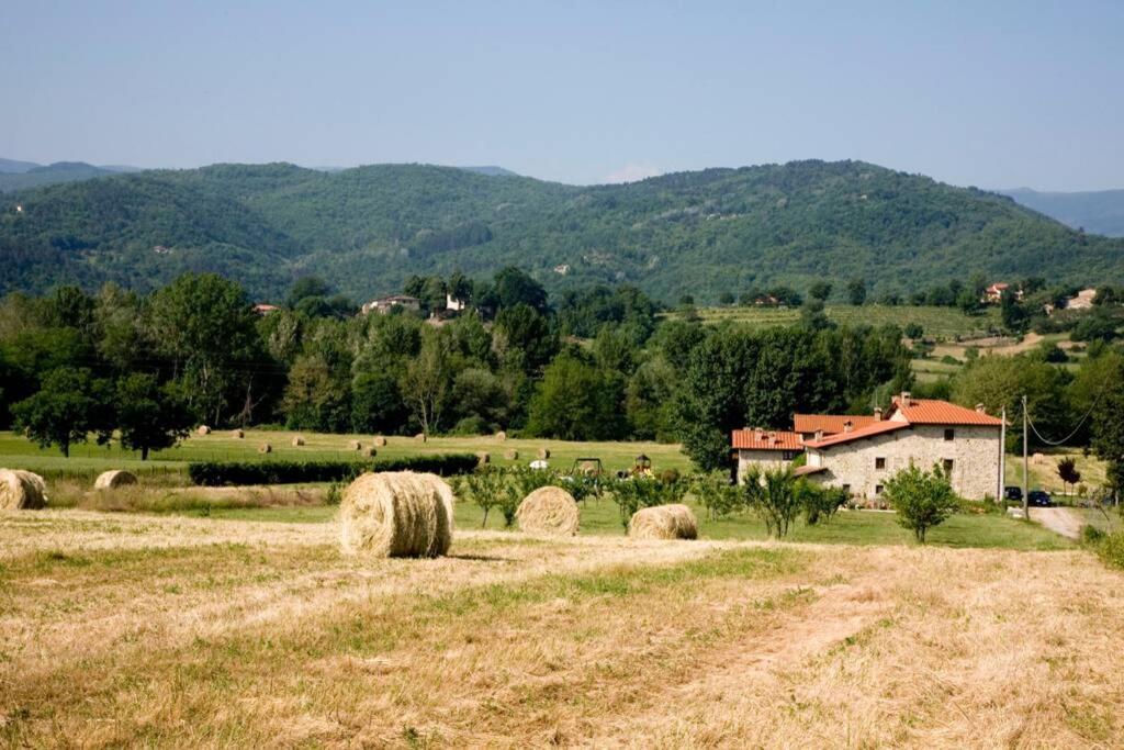 Villino In The Hearth Of Tuscany, Quiet Unforgettable Place. Poppi Exterior photo